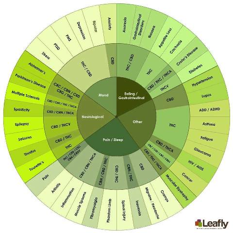 cannaboind-wheel_web_large